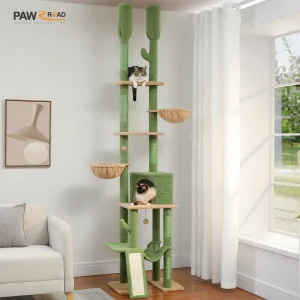 Cactus Krabpaal Kattentoren van vloer tot plafond 7-laags kattenklimboom met gezellige hangmatten en condos's 5 platforms Krabpalen